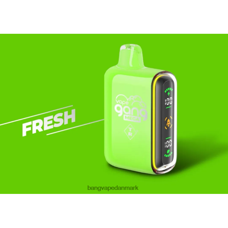 Vape Gang MEGA 20.000 pust engangsvape (æske med 5) frisk - Vape Gang shop 0P6VZ53