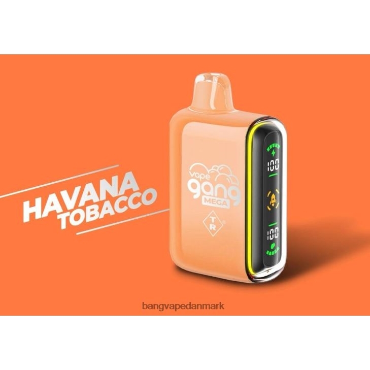 Vape Gang MEGA 20.000 pust engangsvape (æske med 5) havana tobak - Bape Vape shop 0P6VZ55