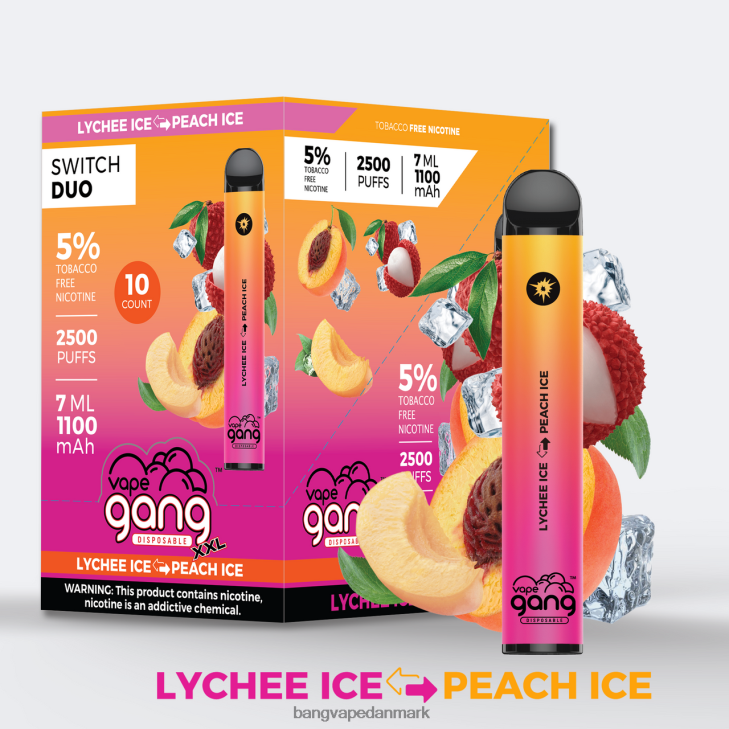 Vape Gang Switch Duo 2 smagsvarianter (æske med 10) kølig mynte - blåbæris - Bape Vape shop 0P6VZ43