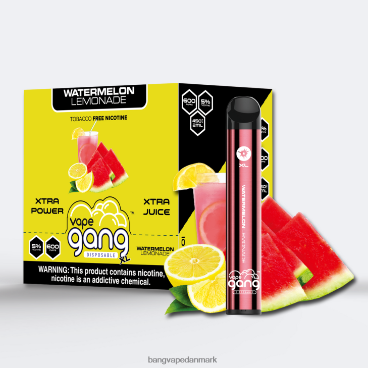 vandmelon limonade